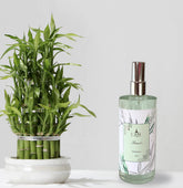 Home spray bamboo mmartan 250ml da bella paris